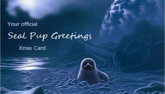 The Official Seal Pup Greetings Xmas Card